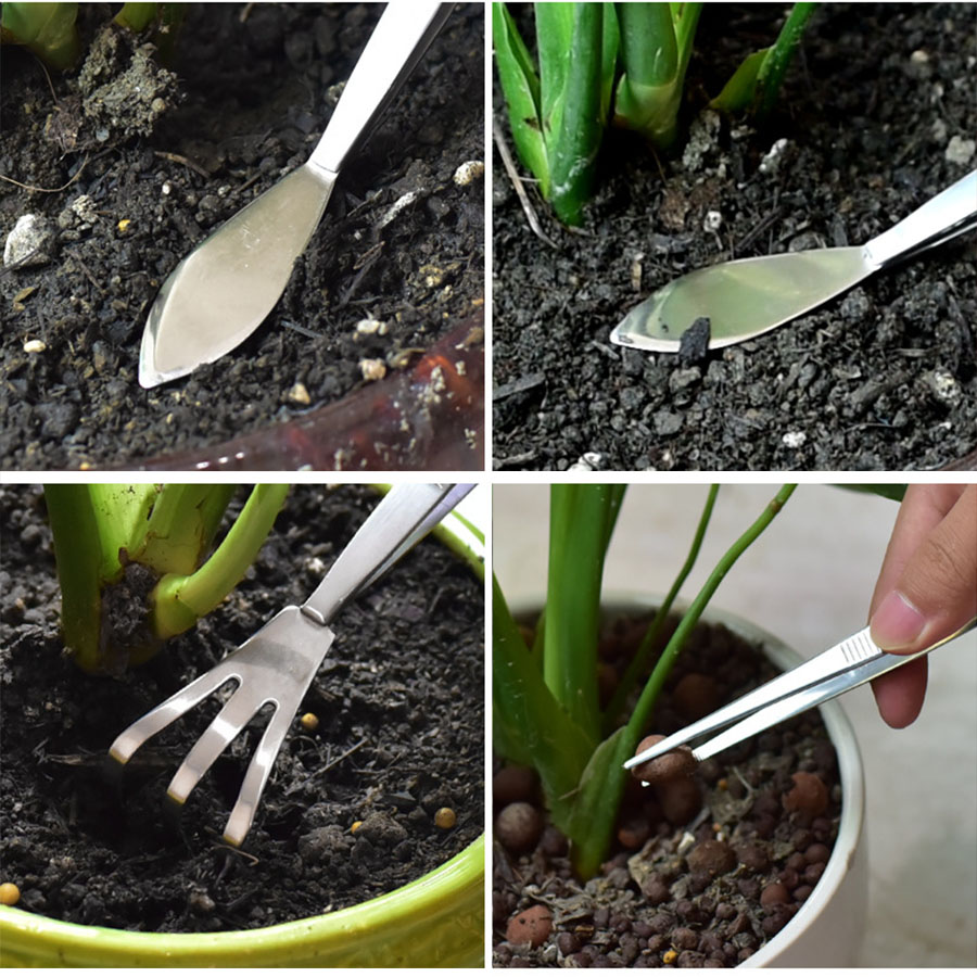 Profesjonalne grabie korzeniow – Scissors Stainless Craft recenzja i cena