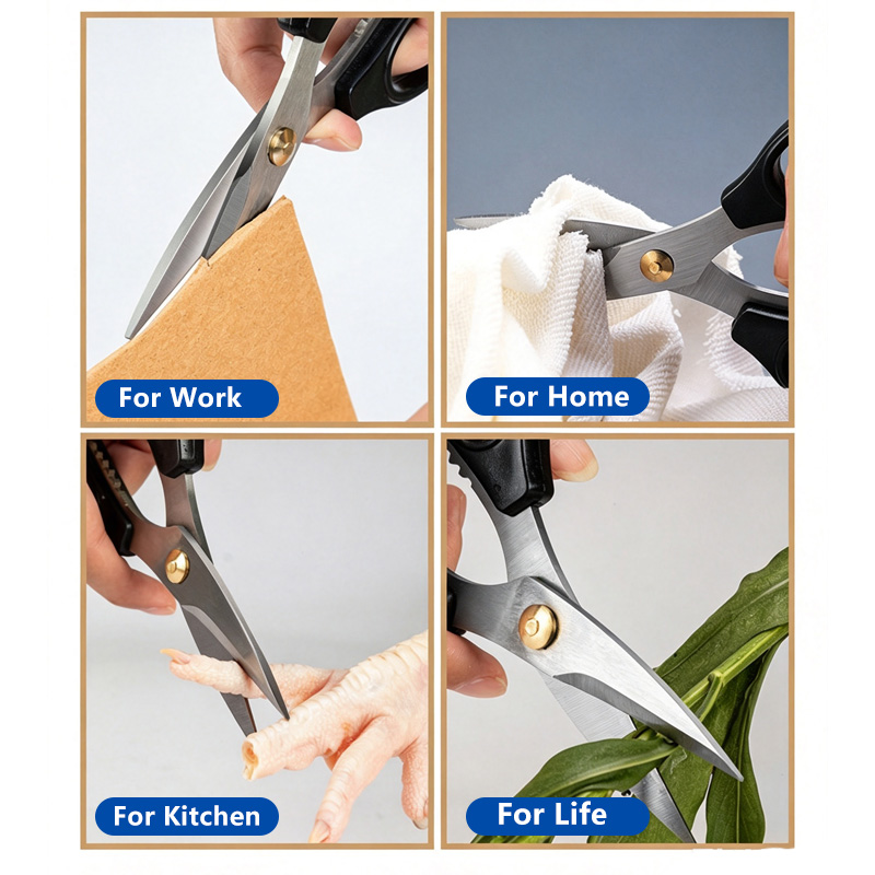 Nożyczki ze stali nierdzewnej, – Scissors Stainless Craft recenzja i cena